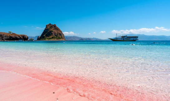 pesona-pantai-pink-keindahan-unik-di-ntt