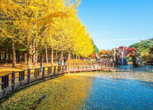 Menikmati Keindahan Alam Nami Island yang Romantis di Korea