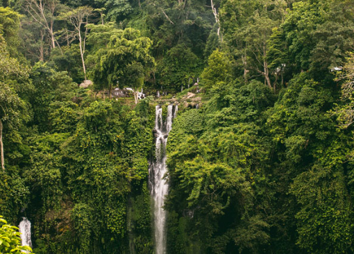 Petualangan Alam Bali: Gunung, Air Terjun, dan Hutan