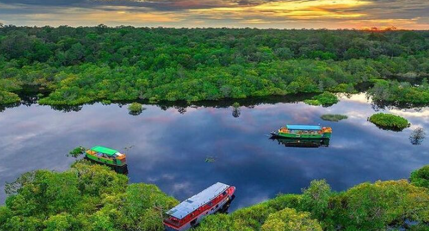Keindahan Taman Nasional Tanjung Puting Kalimantan
