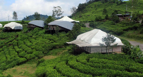 Pesona Glamping Mewah 2026 di Kawasan Lembang Bandung