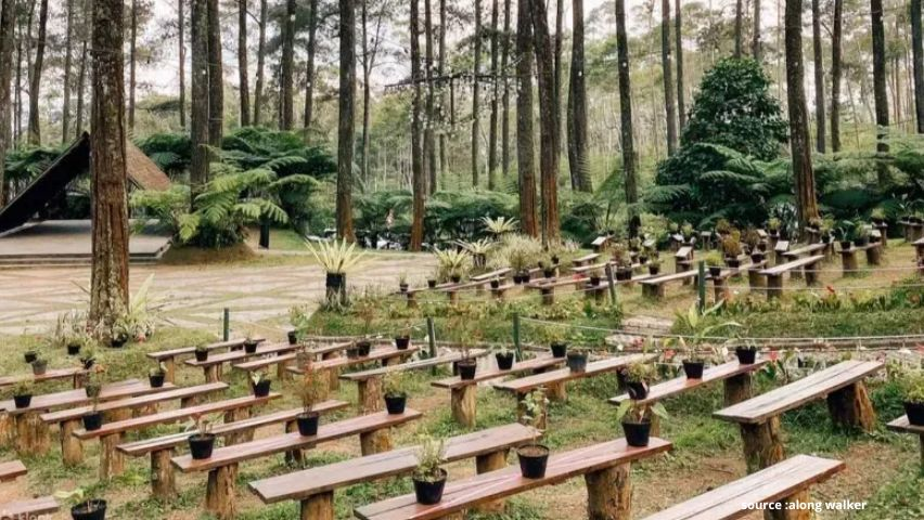 Orchid Forest Cikole Wisata Alam Terindah di Lembang Bandung