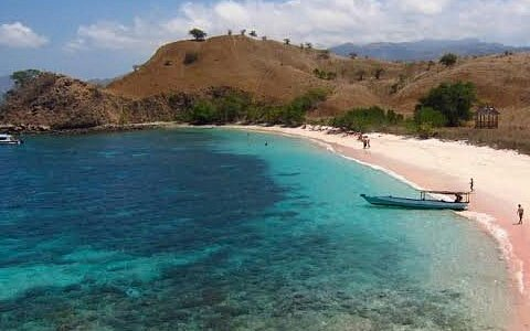 Wisata Pantai Pink Lombok Review Akses Dan Keindahan