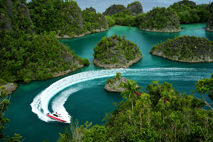Review Wisata Raja Ampat Surga Tersembunyi di Papua Barat